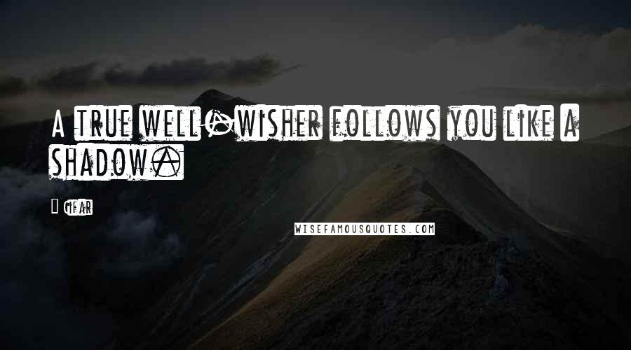 Cifar Quotes: A true well-wisher follows you like a shadow.