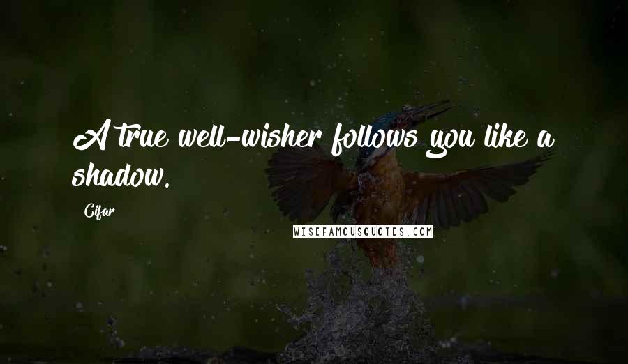 Cifar Quotes: A true well-wisher follows you like a shadow.