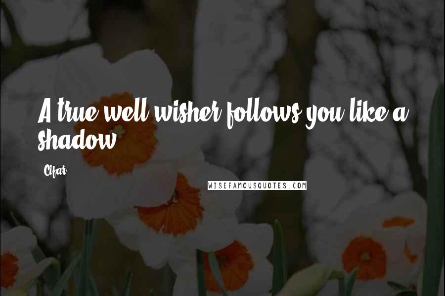 Cifar Quotes: A true well-wisher follows you like a shadow.