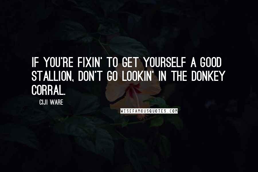 Ciji Ware Quotes: If you're fixin' to get yourself a good stallion, don't go lookin' in the donkey corral.