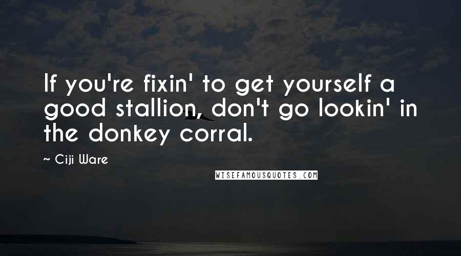 Ciji Ware Quotes: If you're fixin' to get yourself a good stallion, don't go lookin' in the donkey corral.