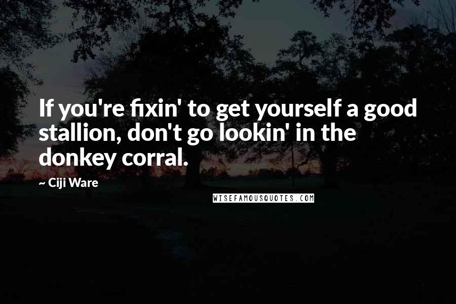 Ciji Ware Quotes: If you're fixin' to get yourself a good stallion, don't go lookin' in the donkey corral.