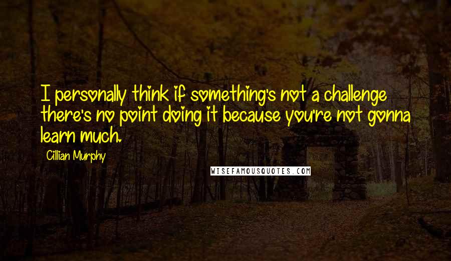 Cillian Murphy Quotes: I personally think if something's not a challenge there's no point doing it because you're not gonna learn much.