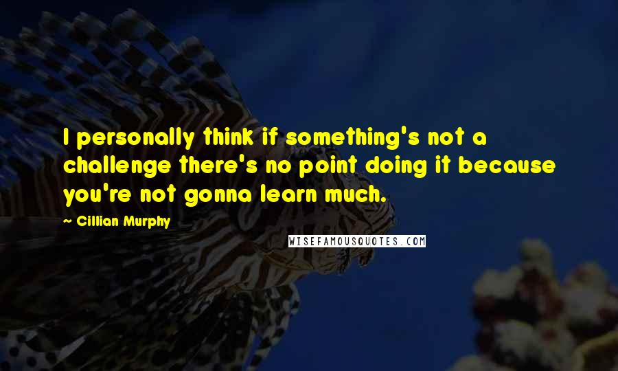 Cillian Murphy Quotes: I personally think if something's not a challenge there's no point doing it because you're not gonna learn much.