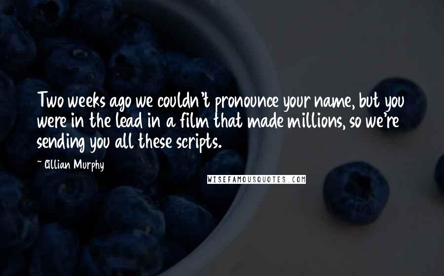Cillian Murphy Quotes: Two weeks ago we couldn't pronounce your name, but you were in the lead in a film that made millions, so we're sending you all these scripts.