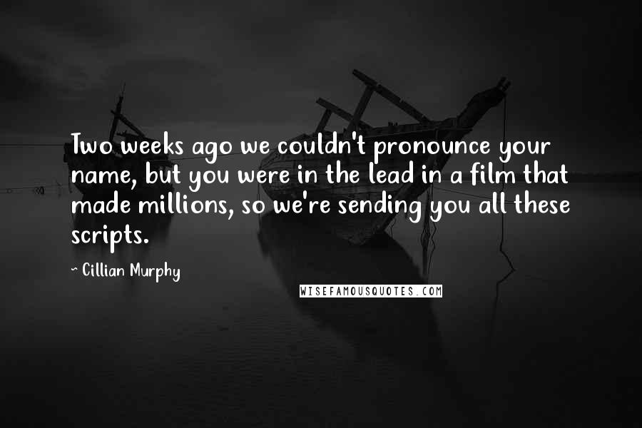 Cillian Murphy Quotes: Two weeks ago we couldn't pronounce your name, but you were in the lead in a film that made millions, so we're sending you all these scripts.