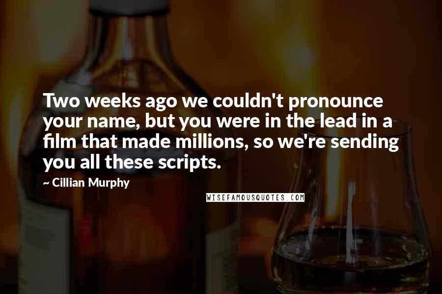 Cillian Murphy Quotes: Two weeks ago we couldn't pronounce your name, but you were in the lead in a film that made millions, so we're sending you all these scripts.