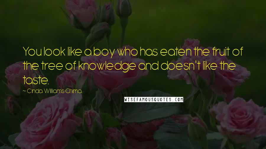 Cinda Williams Chima Quotes: You look like a boy who has eaten the fruit of the tree of knowledge and doesn't like the taste.