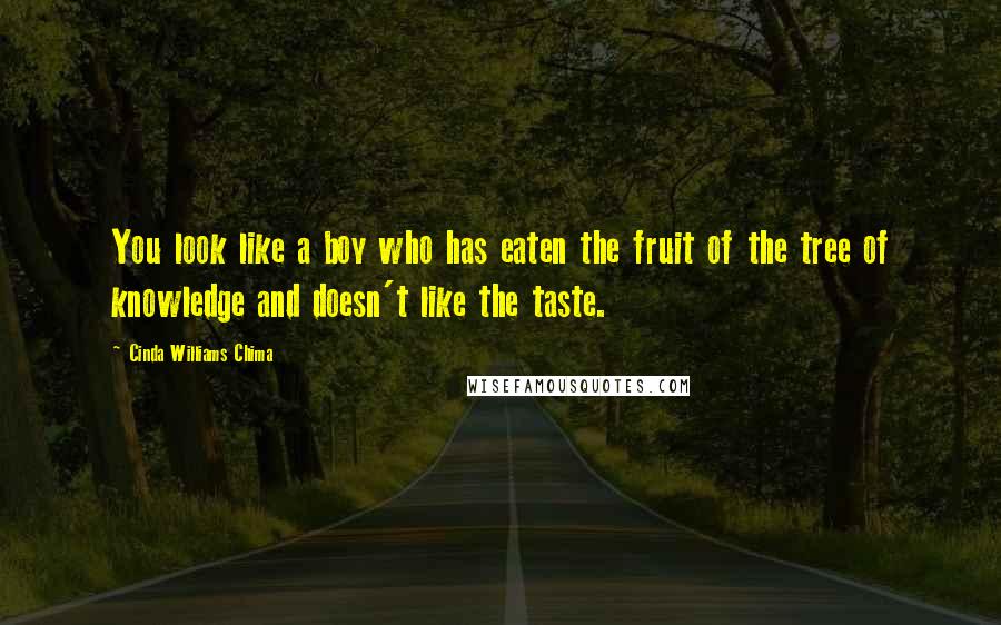 Cinda Williams Chima Quotes: You look like a boy who has eaten the fruit of the tree of knowledge and doesn't like the taste.