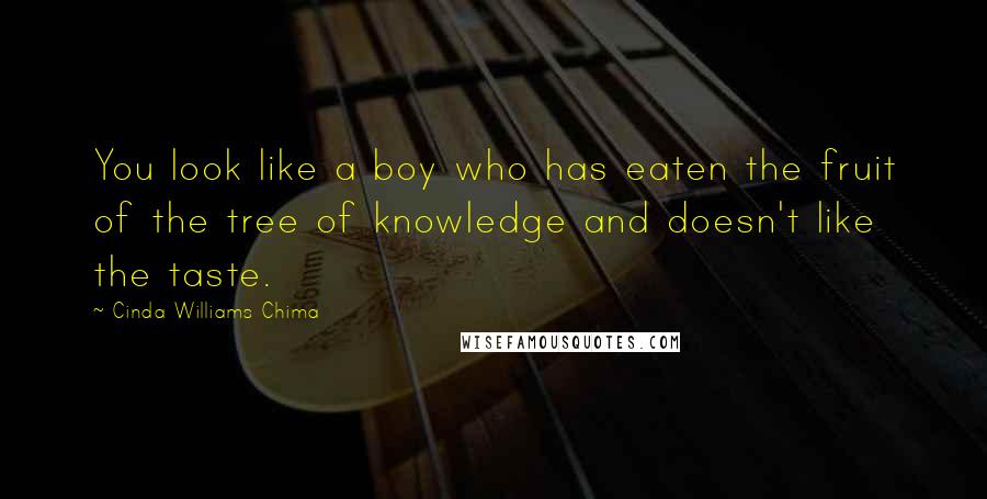 Cinda Williams Chima Quotes: You look like a boy who has eaten the fruit of the tree of knowledge and doesn't like the taste.