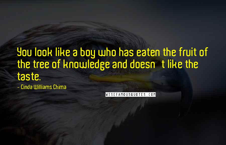 Cinda Williams Chima Quotes: You look like a boy who has eaten the fruit of the tree of knowledge and doesn't like the taste.