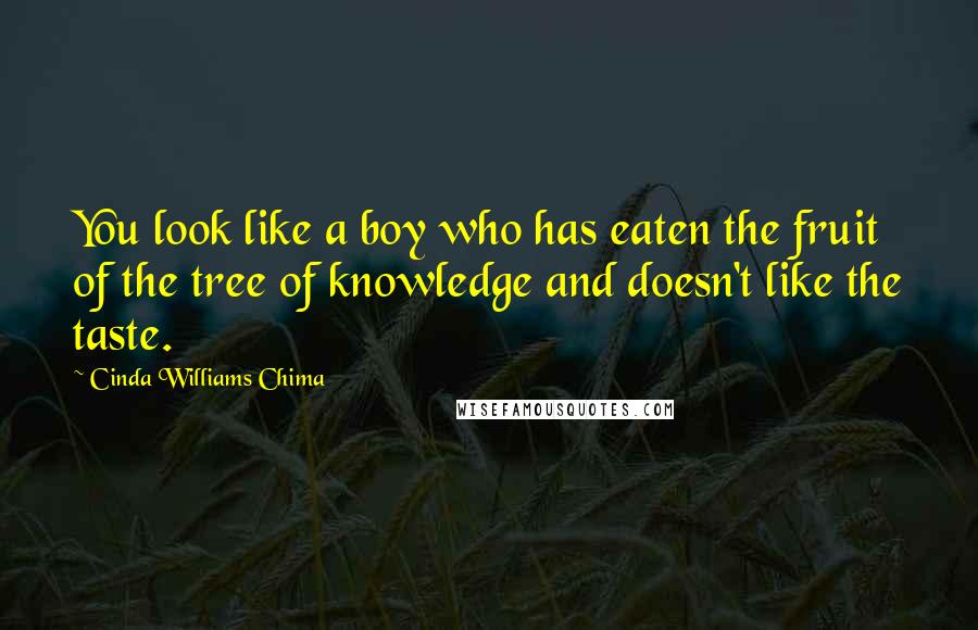 Cinda Williams Chima Quotes: You look like a boy who has eaten the fruit of the tree of knowledge and doesn't like the taste.