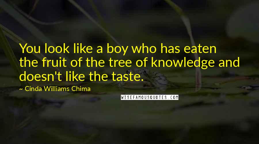 Cinda Williams Chima Quotes: You look like a boy who has eaten the fruit of the tree of knowledge and doesn't like the taste.