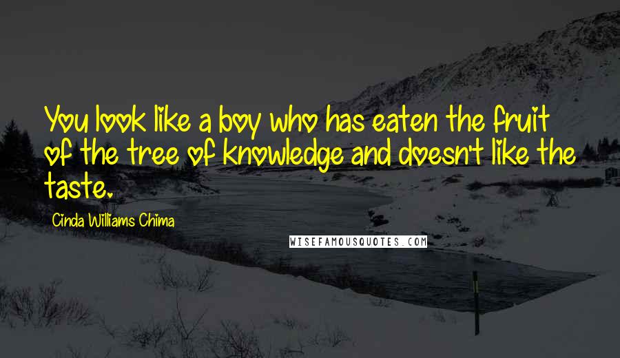 Cinda Williams Chima Quotes: You look like a boy who has eaten the fruit of the tree of knowledge and doesn't like the taste.