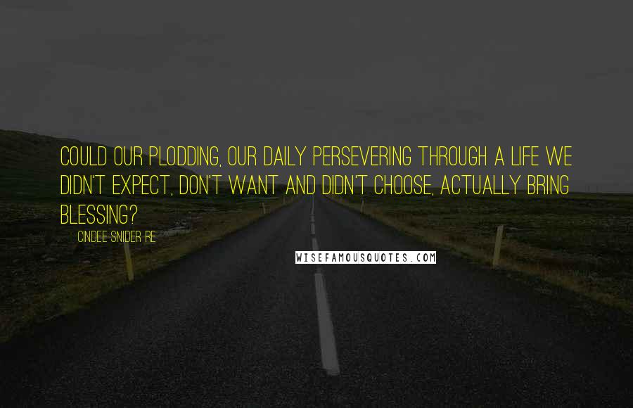 Cindee Snider Re Quotes: Could our plodding, our daily persevering through a life we didn't expect, don't want and didn't choose, actually bring blessing?