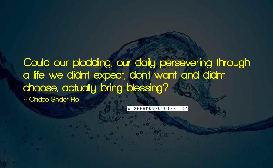 Cindee Snider Re Quotes: Could our plodding, our daily persevering through a life we didn't expect, don't want and didn't choose, actually bring blessing?
