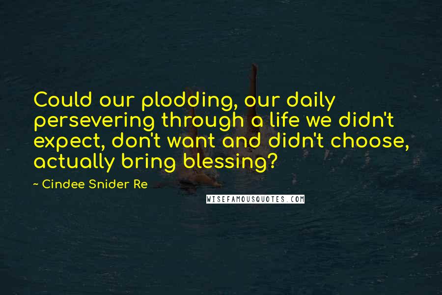 Cindee Snider Re Quotes: Could our plodding, our daily persevering through a life we didn't expect, don't want and didn't choose, actually bring blessing?