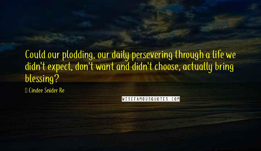 Cindee Snider Re Quotes: Could our plodding, our daily persevering through a life we didn't expect, don't want and didn't choose, actually bring blessing?