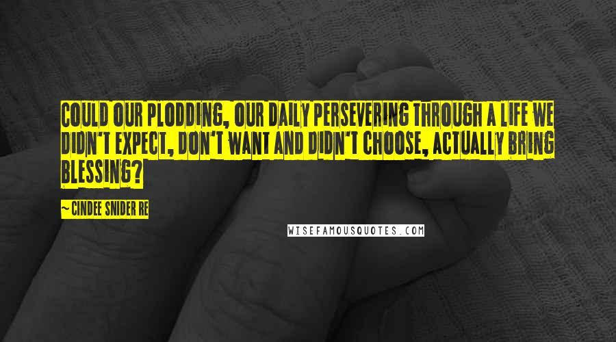 Cindee Snider Re Quotes: Could our plodding, our daily persevering through a life we didn't expect, don't want and didn't choose, actually bring blessing?