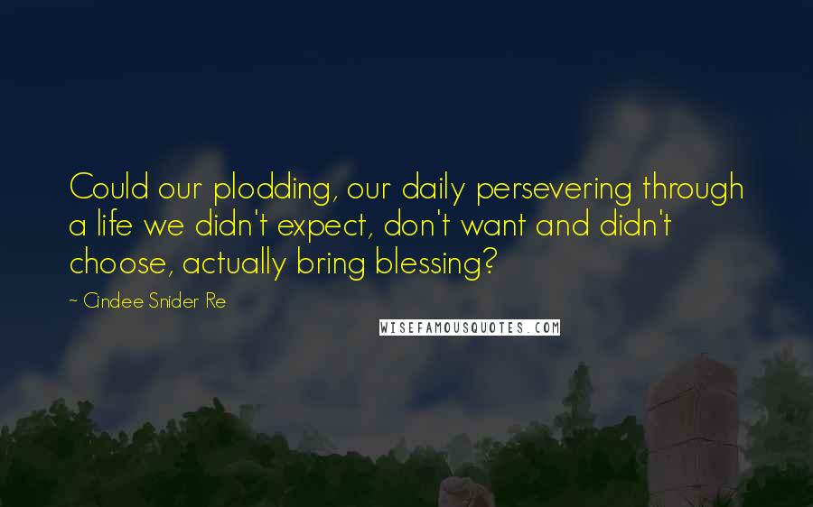 Cindee Snider Re Quotes: Could our plodding, our daily persevering through a life we didn't expect, don't want and didn't choose, actually bring blessing?