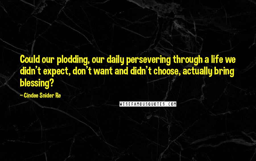 Cindee Snider Re Quotes: Could our plodding, our daily persevering through a life we didn't expect, don't want and didn't choose, actually bring blessing?