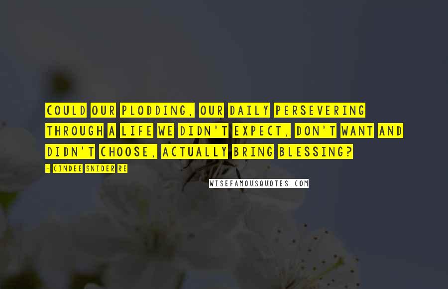 Cindee Snider Re Quotes: Could our plodding, our daily persevering through a life we didn't expect, don't want and didn't choose, actually bring blessing?