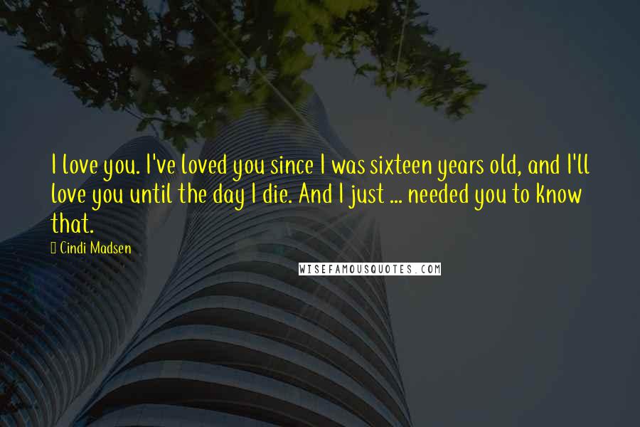 Cindi Madsen Quotes: I love you. I've loved you since I was sixteen years old, and I'll love you until the day I die. And I just ... needed you to know that.