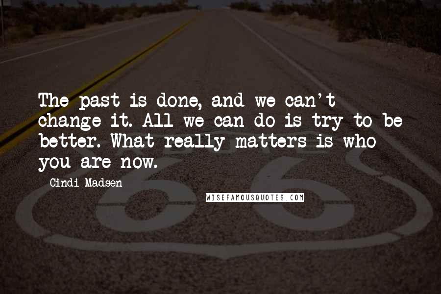 Cindi Madsen Quotes: The past is done, and we can't change it. All we can do is try to be better. What really matters is who you are now.