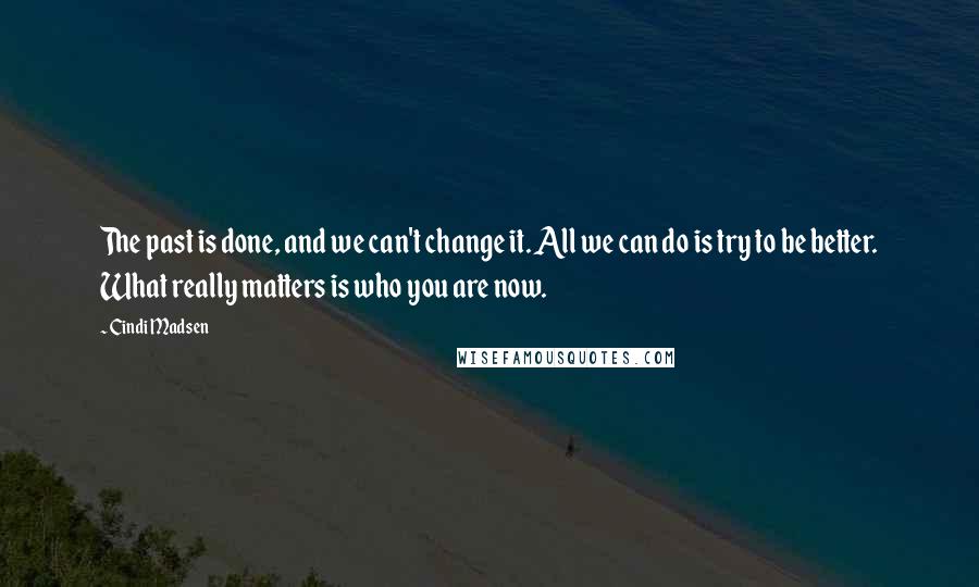 Cindi Madsen Quotes: The past is done, and we can't change it. All we can do is try to be better. What really matters is who you are now.