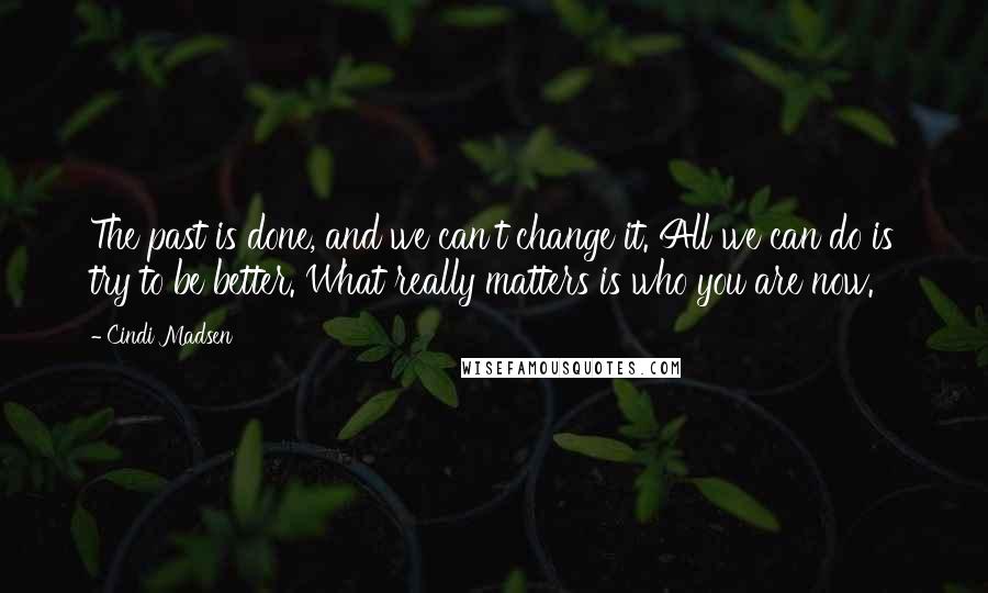 Cindi Madsen Quotes: The past is done, and we can't change it. All we can do is try to be better. What really matters is who you are now.