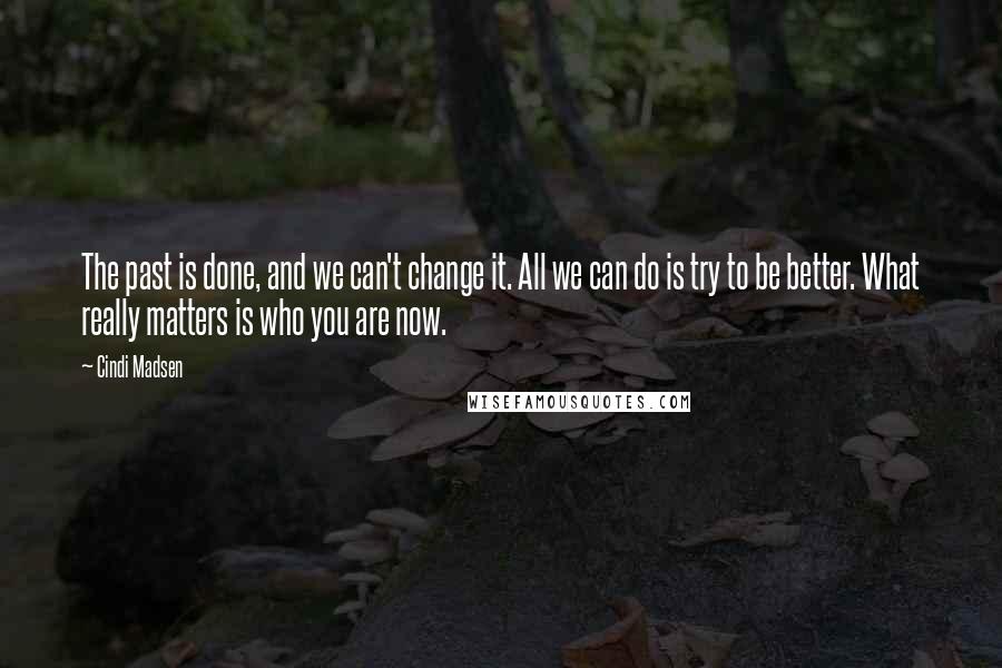 Cindi Madsen Quotes: The past is done, and we can't change it. All we can do is try to be better. What really matters is who you are now.