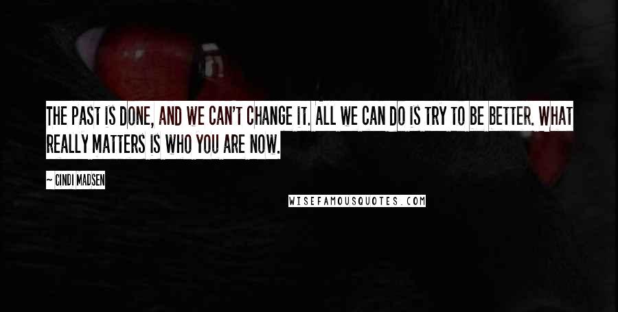 Cindi Madsen Quotes: The past is done, and we can't change it. All we can do is try to be better. What really matters is who you are now.