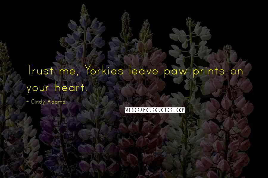 Cindy Adams Quotes: Trust me, Yorkies leave paw prints on your heart.