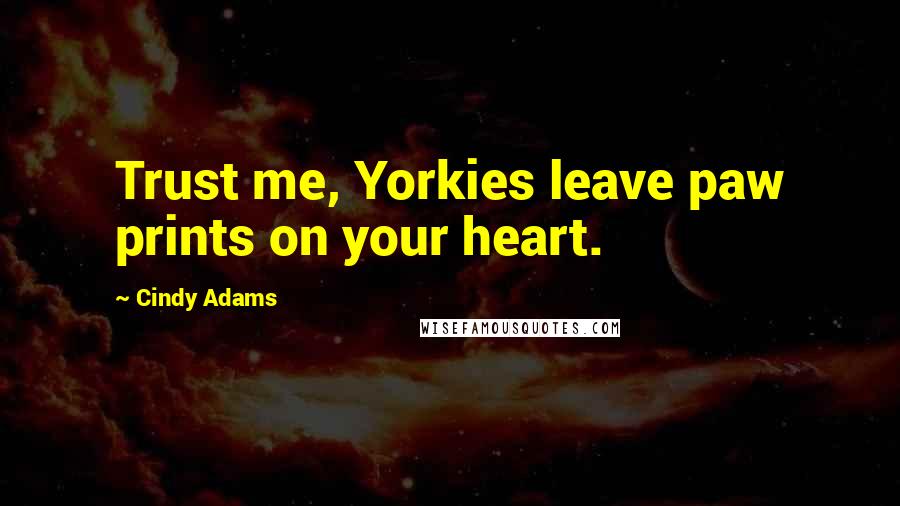 Cindy Adams Quotes: Trust me, Yorkies leave paw prints on your heart.