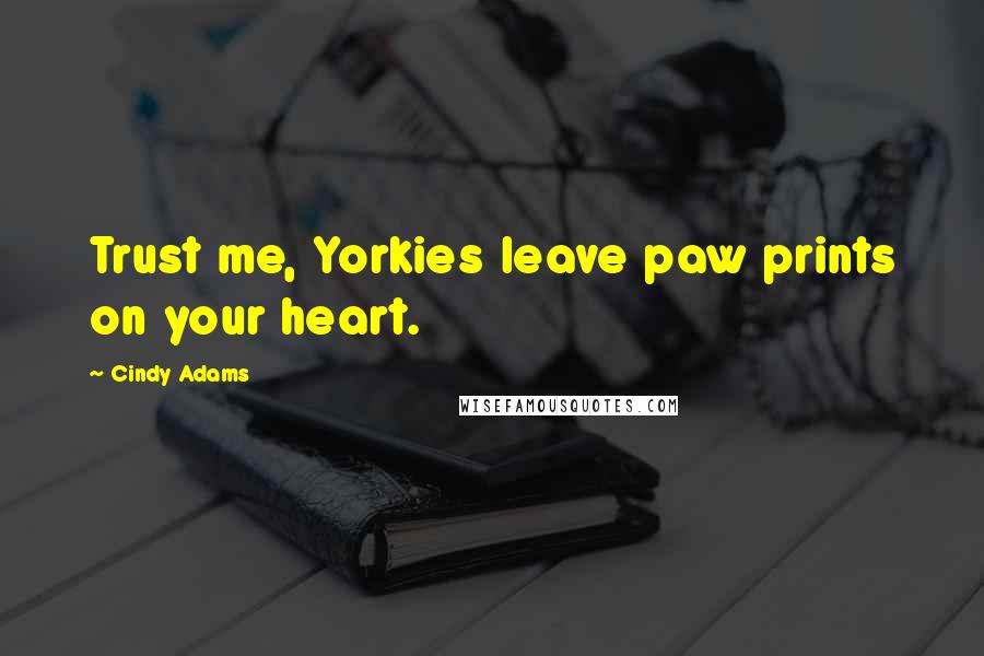 Cindy Adams Quotes: Trust me, Yorkies leave paw prints on your heart.