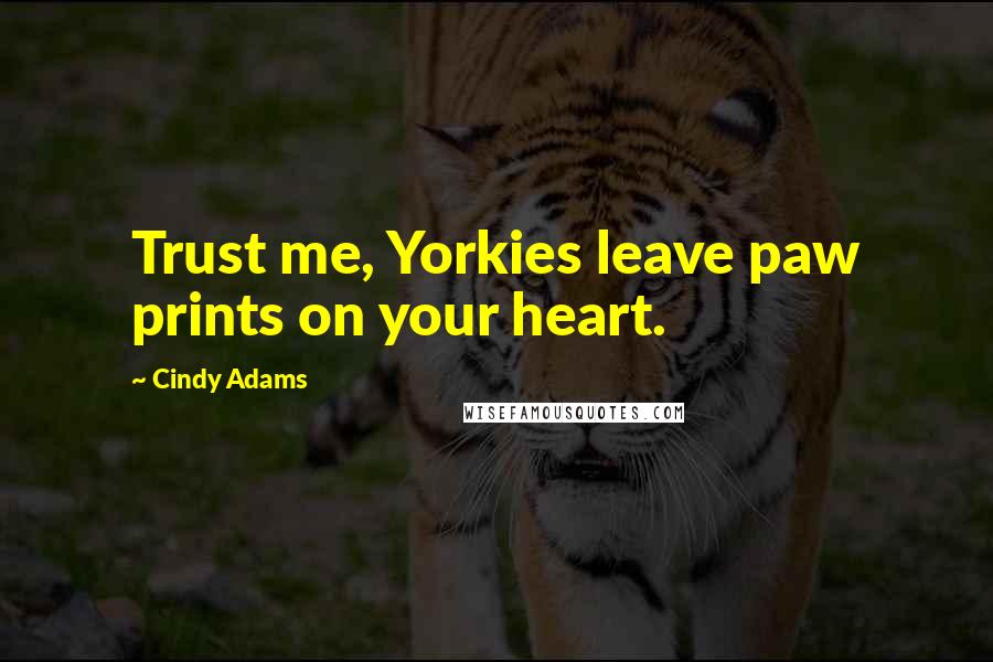 Cindy Adams Quotes: Trust me, Yorkies leave paw prints on your heart.