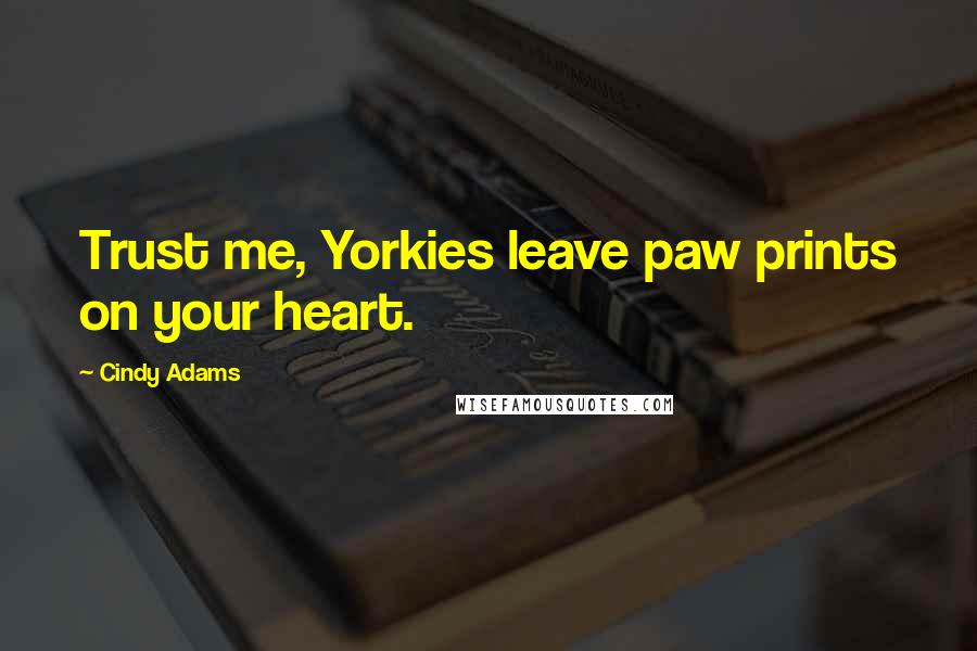 Cindy Adams Quotes: Trust me, Yorkies leave paw prints on your heart.