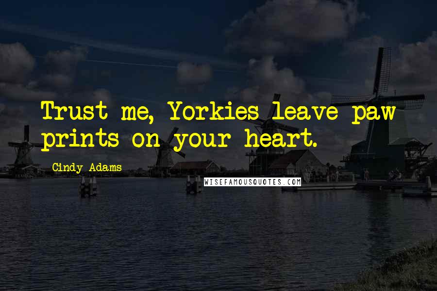 Cindy Adams Quotes: Trust me, Yorkies leave paw prints on your heart.