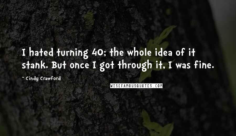 Cindy Crawford Quotes: I hated turning 40; the whole idea of it stank. But once I got through it, I was fine.