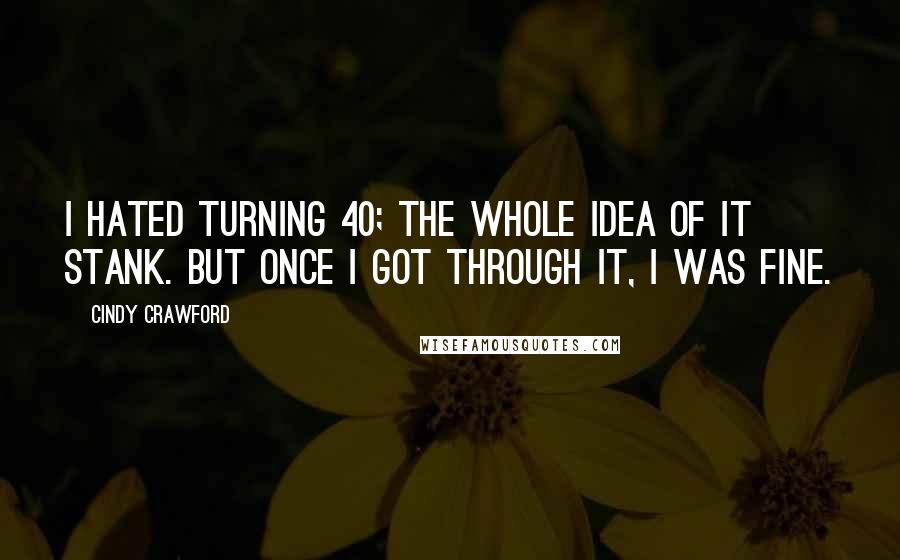 Cindy Crawford Quotes: I hated turning 40; the whole idea of it stank. But once I got through it, I was fine.