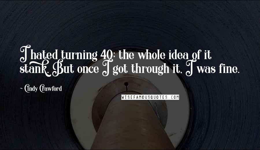 Cindy Crawford Quotes: I hated turning 40; the whole idea of it stank. But once I got through it, I was fine.