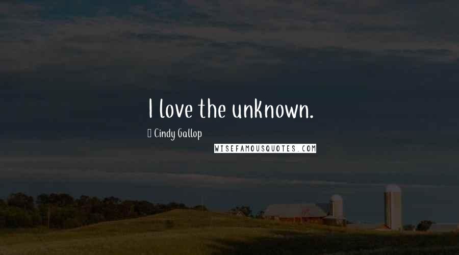 Cindy Gallop Quotes: I love the unknown.