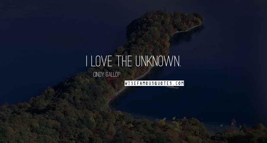 Cindy Gallop Quotes: I love the unknown.