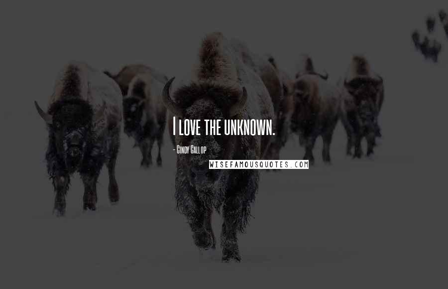 Cindy Gallop Quotes: I love the unknown.