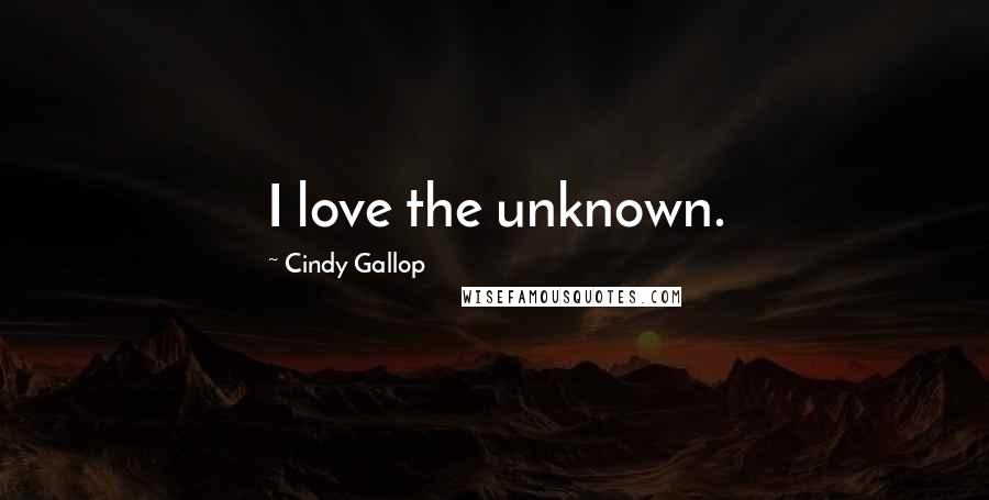 Cindy Gallop Quotes: I love the unknown.