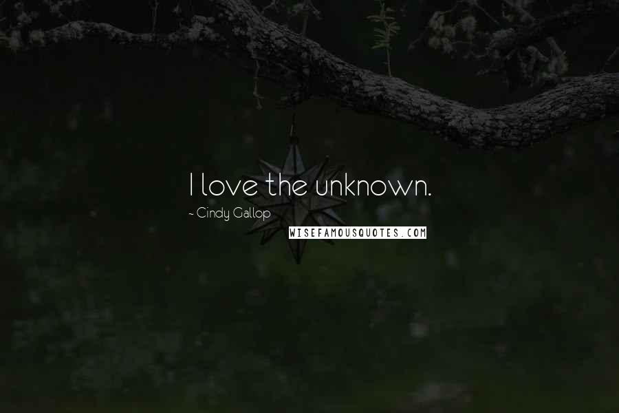 Cindy Gallop Quotes: I love the unknown.