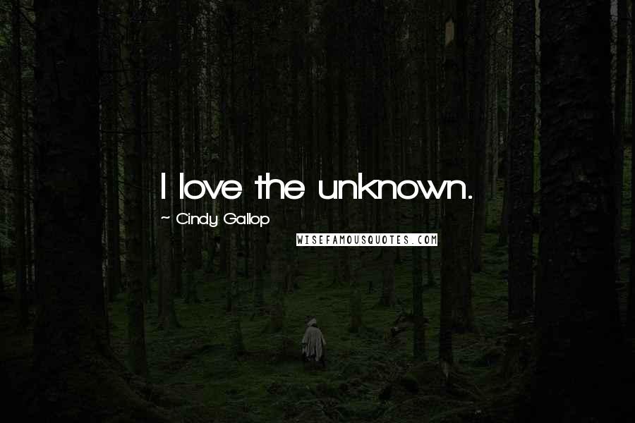 Cindy Gallop Quotes: I love the unknown.