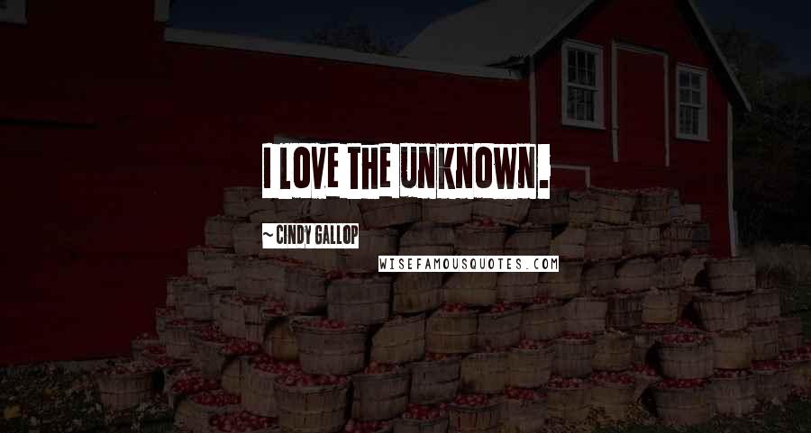 Cindy Gallop Quotes: I love the unknown.