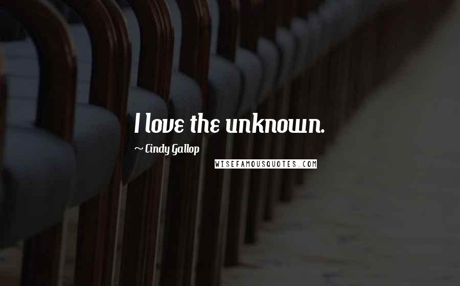 Cindy Gallop Quotes: I love the unknown.