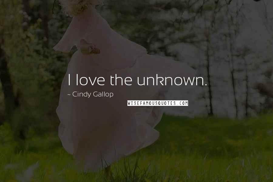 Cindy Gallop Quotes: I love the unknown.